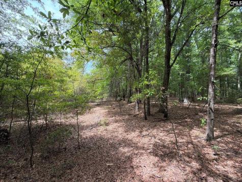 Rrf 4 Rogers Cemetery Road Salley SC 29137