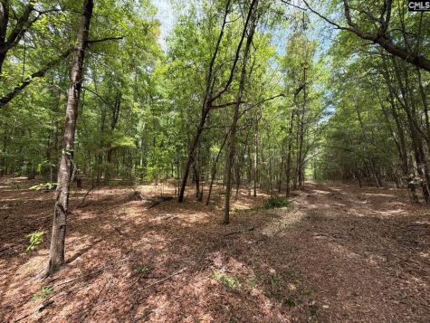 Rrf 4 Rogers Cemetery Road Salley SC 29137