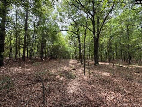 Rrf 4 Rogers Cemetery Road Salley SC 29137