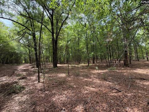 Rrf 4 Rogers Cemetery Road Salley SC 29137