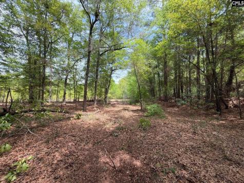 Rrf 4 Rogers Cemetery Road Salley SC 29137