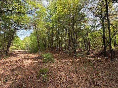 Rrf 4 Rogers Cemetery Road Salley SC 29137