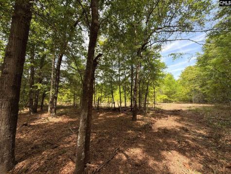 Rrf 4 Rogers Cemetery Road Salley SC 29137