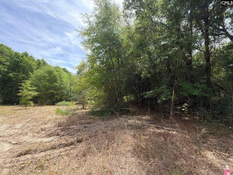 Rrf 4 Rogers Cemetery Road Salley SC 29137