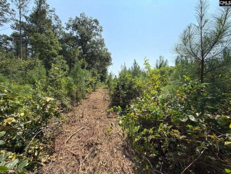 Btf 2 Bradley Trail Jefferson SC 29067