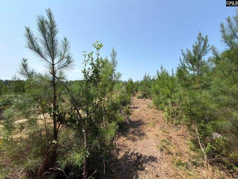Btf 2 Bradley Trail Jefferson SC 29067