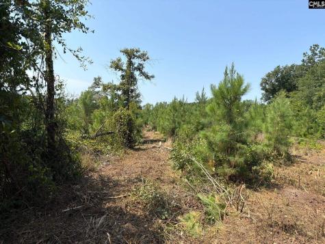 Btf 2 Bradley Trail Jefferson SC 29067