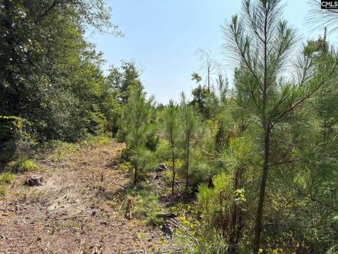 Btf 2 Bradley Trail Jefferson SC 29067