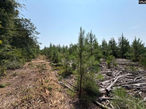 Btf 2 Bradley Trail Jefferson SC 29067