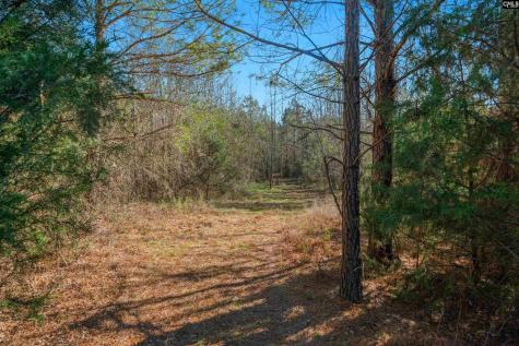 00 S Hwy 81 3 Calhoun Falls SC 29628