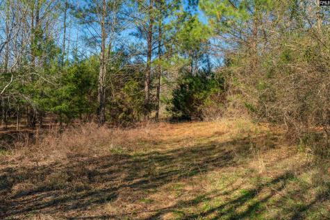 00 S Hwy 81 3 Calhoun Falls SC 29628