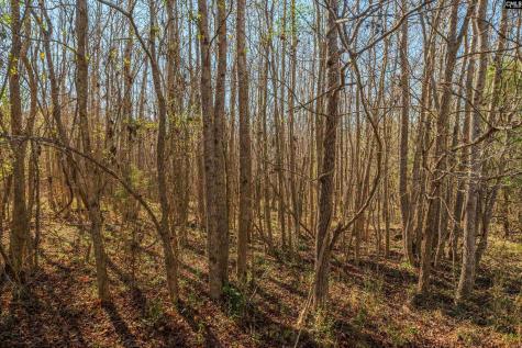 00 S Hwy 81 3 Calhoun Falls SC 29628