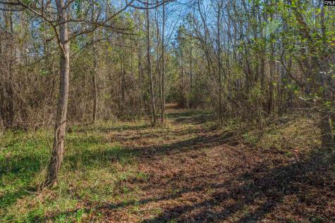 00 S Hwy 81 3 Calhoun Falls SC 29628