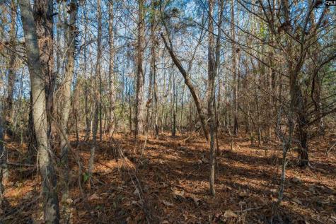 00 S Hwy 81 3 Calhoun Falls SC 29628
