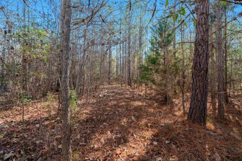 00 S Hwy 81 3 Calhoun Falls SC 29628