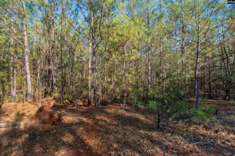 00 S Hwy 81 3 Calhoun Falls SC 29628