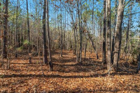 00 S Hwy 81 3 Calhoun Falls SC 29628