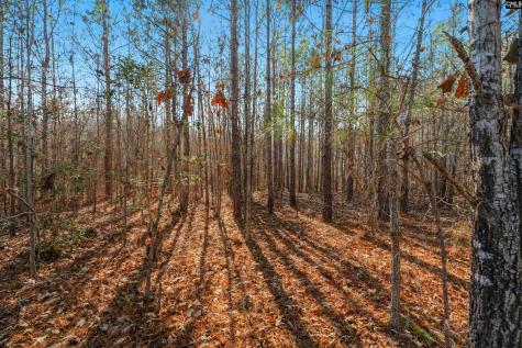 00 S Hwy 81 3 Calhoun Falls SC 29628