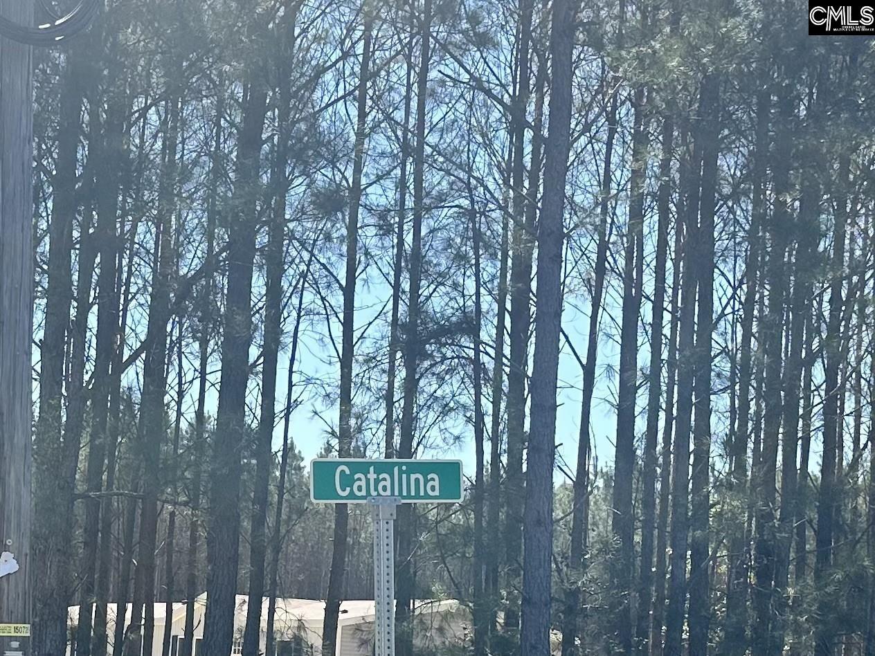 0 Catalina Boulevard Swansea SC 29160