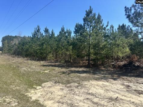 0 Catalina Boulevard Swansea SC 29160