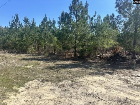 0 Catalina Boulevard Swansea SC 29160