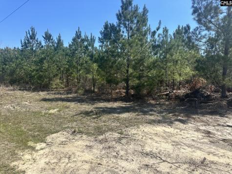0 Catalina Boulevard Swansea SC 29160