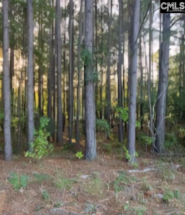 35 Simmons Drive Camden SC 29020
