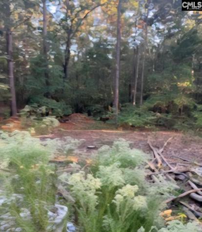 35 Simmons Drive Camden SC 29020