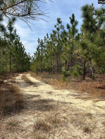 Ca 9 Mt. Calvary Road Ridge Spring SC 29129
