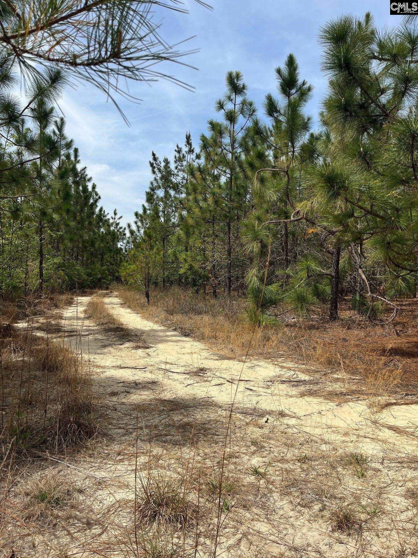 Ca 9 Mt. Calvary Road Ridge Spring SC 29129