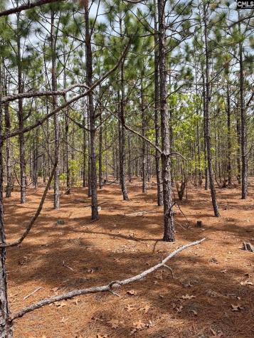 Ca 9 Mt. Calvary Road Ridge Spring SC 29129