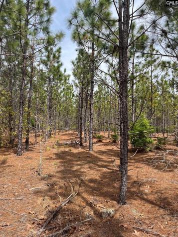 Ca 9 Mt. Calvary Road Ridge Spring SC 29129