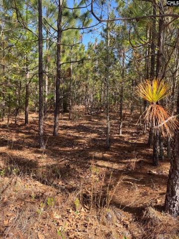 Ca 9 Mt. Calvary Road Ridge Spring SC 29129