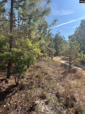 Ca 9 Mt. Calvary Road Ridge Spring SC 29129