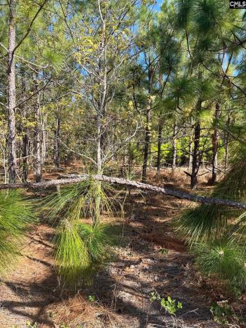 Ca 9 Mt. Calvary Road Ridge Spring SC 29129