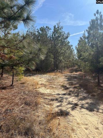Ca 9 Mt. Calvary Road Ridge Spring SC 29129