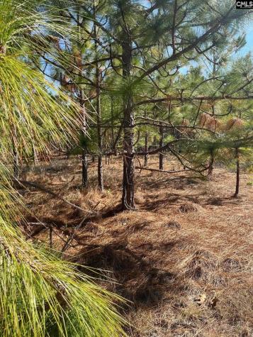 Ca 9 Mt. Calvary Road Ridge Spring SC 29129