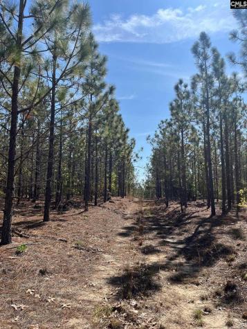 Ca 9 Mt. Calvary Road Ridge Spring SC 29129