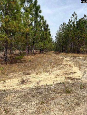 Ca 9 Mt. Calvary Road Ridge Spring SC 29129