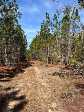 Ca 9 Mt. Calvary Road Ridge Spring SC 29129