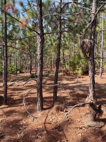 Ca 9 Mt. Calvary Road Ridge Spring SC 29129