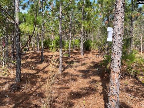 Ca 9 Mt. Calvary Road Ridge Spring SC 29129