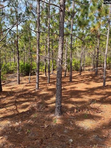 Ca 9 Mt. Calvary Road Ridge Spring SC 29129