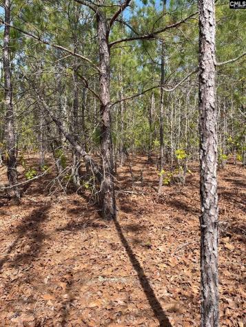 Ca 9 Mt. Calvary Road Ridge Spring SC 29129