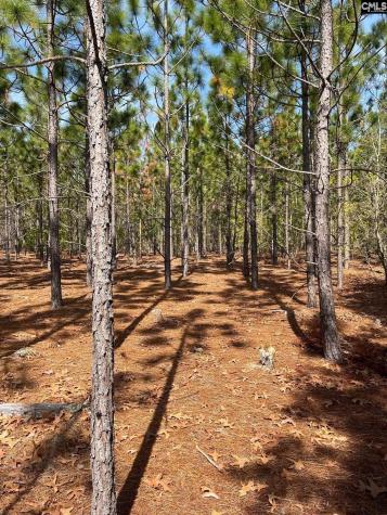 Ca 9 Mt. Calvary Road Ridge Spring SC 29129