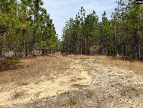 Ca 9 Mt. Calvary Road Ridge Spring SC 29129