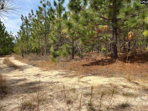 Ca 9 Mt. Calvary Road Ridge Spring SC 29129