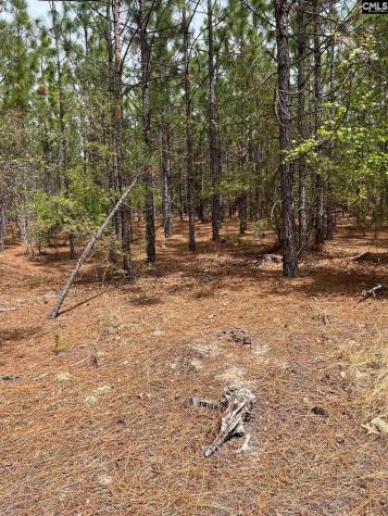 Ca 9 Mt. Calvary Road Ridge Spring SC 29129