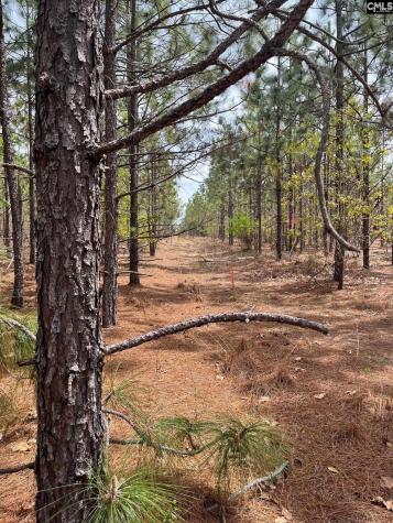 Ca 9 Mt. Calvary Road Ridge Spring SC 29129
