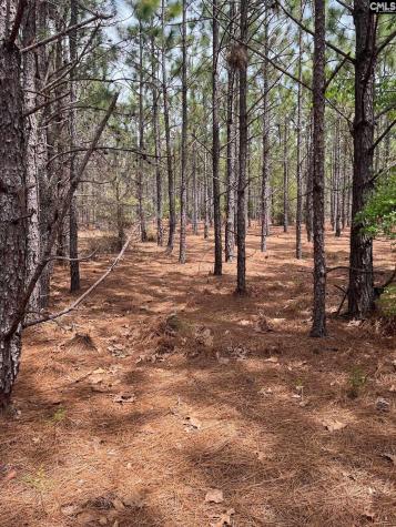 Ca 9 Mt. Calvary Road Ridge Spring SC 29129